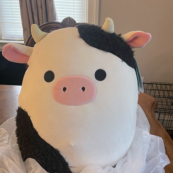 connor squishmallow walgreens